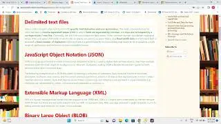 Delimited text File