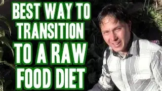 Best Way to Transition to a FullyRaw Diet & More Raw Foods Q&A