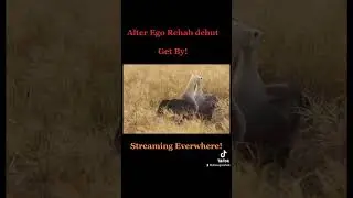 Alter Ego Rehab debut single, Get By Best Music