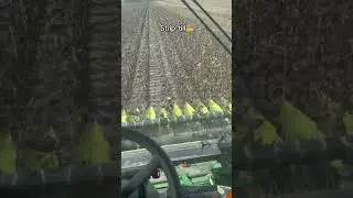 Strip-till соняшник