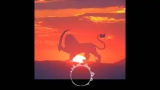 Lion and Sun - BehnadPulse
