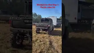 Видео 05: Болото, заросшее грязью, где пасутся дятлы, во Флориде. Счастливой субботы!