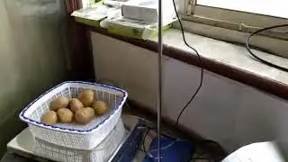 Applied Artificial Intelligence -Object Detection algorithm in POS Software for Fruits & Veg. Store