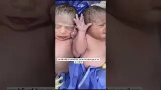 twins baby boy & girl 😘#youtube #adorably #newborn baby#youtube shorts#subscribe #instagram
