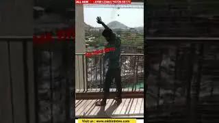 Auto Sliding Pigeon Net Services|Bird Control Net Near me Pigeon Control Net|Anti Pigeon Bird Nets