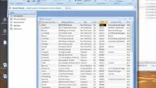 002 - Filters and Sorts in Access 2007