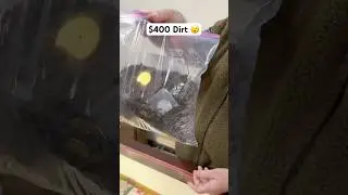 Seeing How Much $400 Dirt Bag Was Worth #shorts