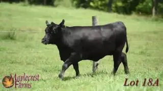 Lot 18A, Maplecrest Blackcap R5201