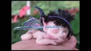 Drazsé: Halkabban