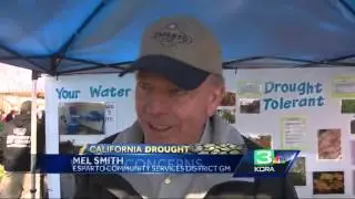 Crowds enjoy Almond Festival despite windy weather