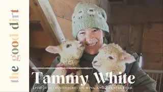 Episode 60 | Adventures on Wing and a Prayer Farm with Tammy White