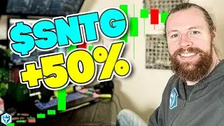 $SNTG +50%