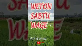 Weton kelahiran sabtu wage #weton #kelahiran #sabtu #wage # watak #primbon
