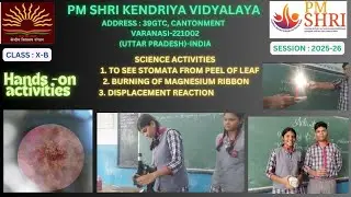 SCIENCE ACTIVITIES | X-B | STOMATA | Mg Ribbon burning | Displacement Reaction| Hands on activities