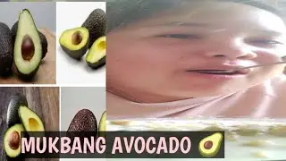 MUKBANG AVOCADO WITH BEARBRAND