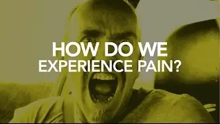 How Do We Experience Pain?