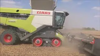 Randy Loder MacDon FD145 on Claas 8800