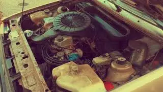 Barn-Find FORD Escort 1983 1.6 GL Startup and Drive