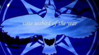SEABIRD OF THE YEAR NSSP