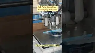 Factory Manufacture Fully Auto FacialTissue/Hand Towel/Paper Towel Case BoxPacking Machine