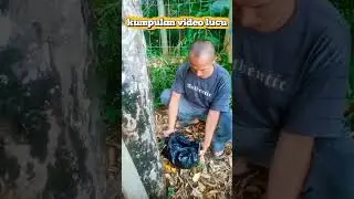 Viralll...... Kumpulan video lucu bikin ngakak nonstop #comedy #funny #lucu  #ngakak