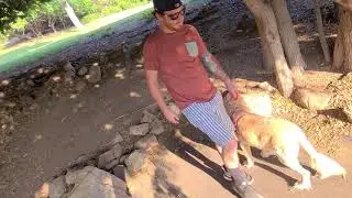 Brengle terrace aug 2020 disc golf drives