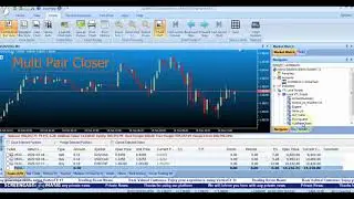 Multi Pair Closer EA for VertexFX