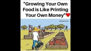 Whats The Health Benefits of GULLY ROOT ANAMU ROOT CONGO ROOT GUINEA HEN WEED