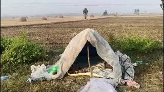 పార్ట్ 2 బాతులు గొర్రెలు పశువులు నిర్వాహకులు చైతన్యం లేని పెద్దలను పిల్లలను టార్గెట్ చేసి జీవితం బలి