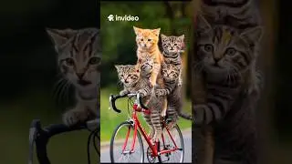 #duet