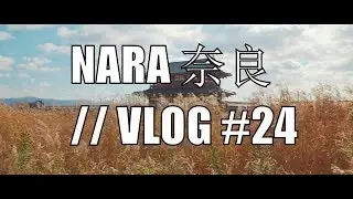 Nara Deer and temple visit // Vlog #24