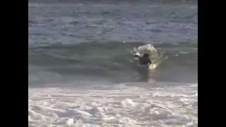 Escola Impulse de Bodyboarding 1