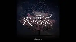 Flores Rosadas - Che R&oacute;ga Band