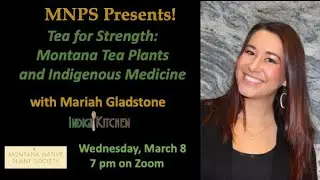 MNPS Presents! Tea for Strength: Montana Tea Plants and Indigenous Medicine