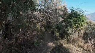 Sendero del gorila 1