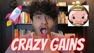 Pig Token IS CRAZY!! Pig Finance UPDATE | Pig Finance Token TO THE MOON