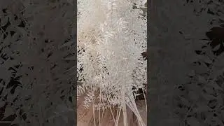 Bitki şoklama . Preserved  Plants. #beautiful #&ccedil;i&ccedil;ek #&ccedil;i&ccedil;eksepeti #london #dubai #istanbul #newyork