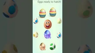 😯Looking for special eggs in Pokemon GO? #shorts #pokemon