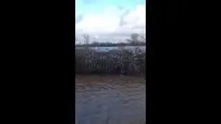 Whats on Bristol Visit the Somerset Floods