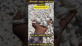 Best quality Indian garlic 🔥. Price of garlic. Today's Garlic Rates. Garlic price. #Mandi Price. ...