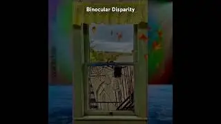 Binocular Disparity [video: Caren Messing & Music: Tom Blatt] #animation #carenmessing #tomblatt
