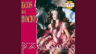 Tengo el corazón partio
