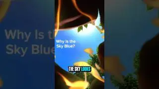Why the Sky Is Blue but Sunset is Red? #skyblue  #sunsetcolors  #physics #atmosphere  #science