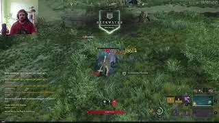 new weapon type in New World!?