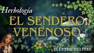 El Sendero T&oacute;xico☠️ | Sendero Oculto | Plantas Venenosas 🥀| Herbolog&iacute;a