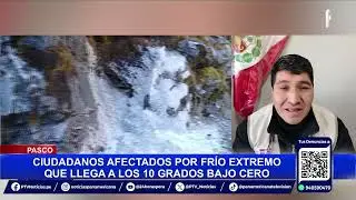 Helada golpea Pasco: animales muertos y comunidades en riesgo por fr&iacute;o extremo