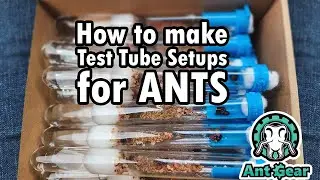 AntGear Presents: How to make test tube setups for ants