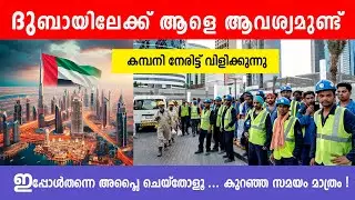 Dubai job vacancy 2026 | UAE Jobs Malayalam | Gulf Jobs Malayalam | Dubai Jobs | Gulf Jobs Today