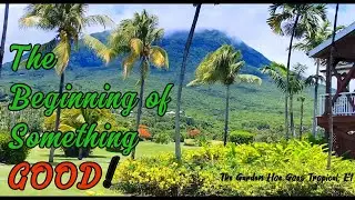 The Garden Hoe Goes Tropical | Finding Garden Gold at the Four Seasons Nevis - E1