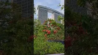 Stunning and Beautiful 57th Storey Building of Marina Bay Sands #downtowncore #touristattraction